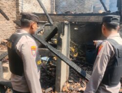 Dugaan Ini Penyebabnya, Ribuan Ayam Potong Mati Terpanggang