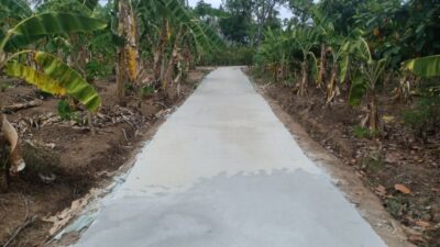 Dana Desa Tahap I dan II Pekon Sinar Baru Timur Bagun Jalan Rabat Beton