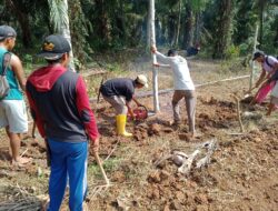Pj Kepala Pekon Sukamulya Alokasikan Dana Desa Tahap II Bagun Pembukaan Badan Jalan 800 Meter Sesuai Spek