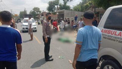 Polisi Selidiki Insiden Kecelakaan Yang Tewaskan Satu Pemotor di Pringsewu