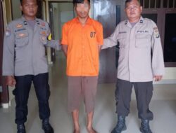 Polsek Pardasuka Tangkap Pencuri Motor dan HP