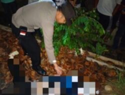 Diduga Tabrakkan Diri Ke Kereta, Mahasiswi Asal Semarang Tewas Ditabrak KA di Sragi