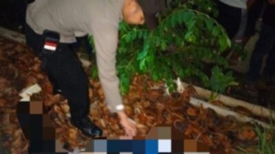 Diduga Tabrakkan Diri Ke Kereta, Mahasiswi Asal Semarang Tewas Ditabrak KA di Sragi