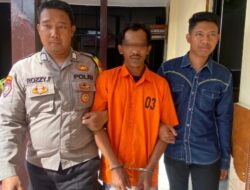 Sebulan Buron, Pencuri Padi Berhasil Ditangkap Saat Pulang Kerumah