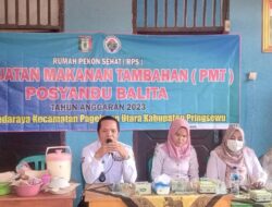 Cegah Setanting, Pemerintahan Pekon Madaraya Gelar Pelatihan Makanan Tambahan