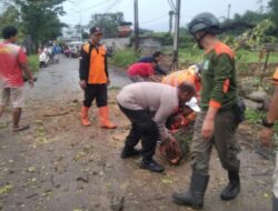 Bhabinkamtibmas Bersama BPBD dan Warga Evakuasi Pohon Tumbang