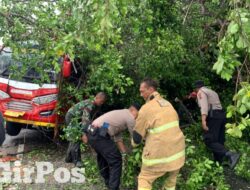 Polres Wonogiri Bantu Evakuasi Pohon Tumbang di Jalan