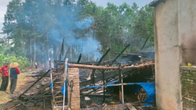 Ludes Dilalap Sijago Merah Kandang Ayam Sukoharjo