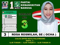 Rosa Rosmilah Caleg DPRD Kota Palembang Terjun Ketengah Masyarakat Bagikan Bansos Hernoe Peduli 