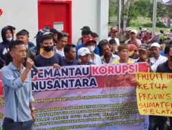 Kata PJ Bupati Muara Enim, Anti Kritik atau Panik?