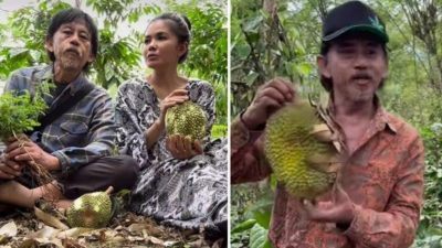 Momen Preman Pensiun, Kang Epy Pulang Kampung Istri Panen Durian