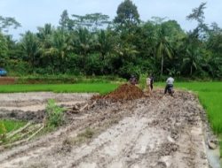 Akses Jalan Pekon Madaraya Rusak, Warga Minta Aktifitas Tambang Galian Tanah Liat Tersebut Dihentikan