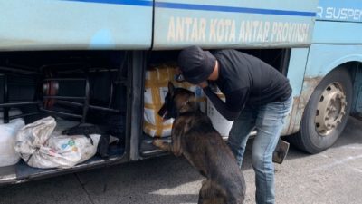 Sejumlah Anjing K9 Bantu Lacak Peredaran Narkoba di Pelabuhan Bakauheni, Ini Hasilnya