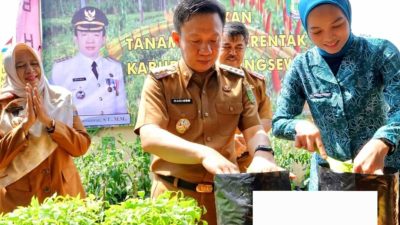 Pemkab Pringsewu Adakan Gerakan Serentak Tanam Cabai