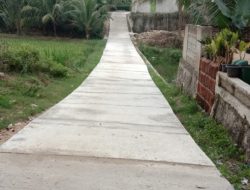Rabat Beton Pekon Padang Rejo Direalisasikan DD Tahap 1