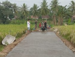 Gumukmas Bangun Rabat Beton 283 Meter Terwujud Sudah