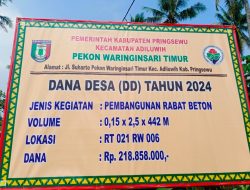 Pekon Waringinsari Timur Bangun Rabat Beton