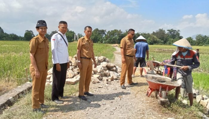 Dengan DD Tahap 1 Pekon Bulukarto Bangun TPT Serta Pembukaan Badan Jalan