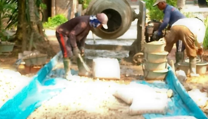 DD Tahap 1 Pekon Margodadi Bangun Jalan Rabat Beton