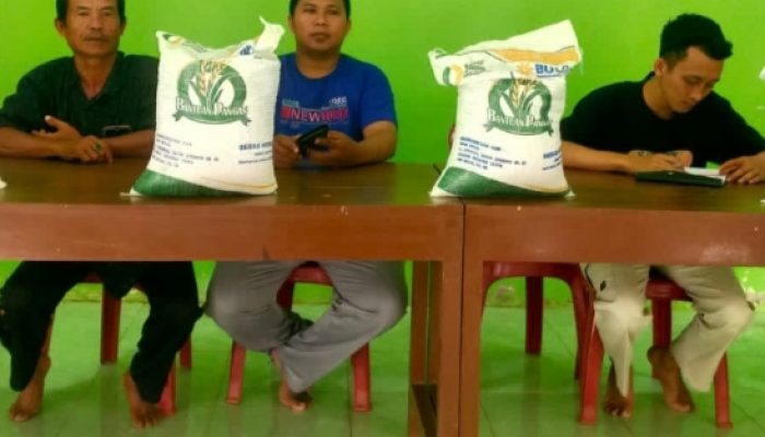 Beras Bantuan Tahap Lima di Pekon Neglasari Beres Disalurkan