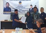Elfianah Yugi Diusung Dua Partai Politik Maju Pilkada Mesuji