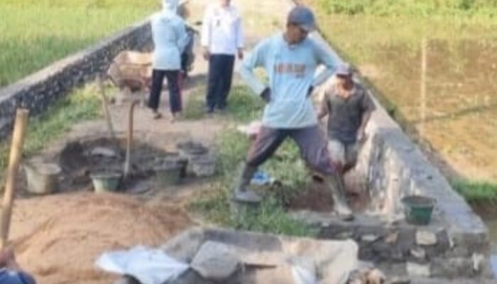 Pekon Pandan Surat Wujudkan Dana Desa Bagun TPT Dusun Lima