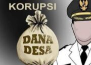 Oknum Kades Kotarih baru gunakan Anggaran Ratusan juta Tidak Tepat Sasaran, pembangunan Sumur Bor Desa di dusun ll menelan anggaran Rp,100,001580 Tahap ll Tahun 2023 di duga FIKTIF.