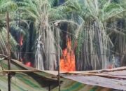 Penegakan Hukum Mandul ,Usaha Ilegal di Muba Kian Menjamur