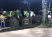 Diduga Bebas Beroperasi, Arena Judi Marelan Ramai Pemain Besar Tiap Sabtu–Minggu