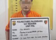 Inisial DA (23) Pelaku Kekerasan Seksual Terhadap Anak Dibawah Umur Berhasil Ditangkap