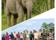 Kementerian Kehutanan dan Tim Gabungan Sisir KHDTK Benakat, Lakukan Pelacakan Koridor Gajah Sumatera sebagai Implementasi Inpres No. 8/2026