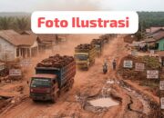 Aktivitas pengangkutan kelapa sawit PT Inti Agro Makmur menuju PT GBS Perambatan memicu keresahan warga Desa Karang Tanding,