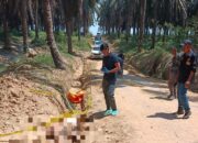 Gerak Cepat Polres Musi Banyuasin Ungkap Kasus Penemuan Jenazah di Area Perkebunan Sawit