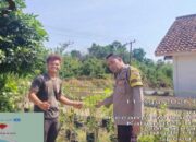 Bhabinkamtibmas Polsek Rantau Bayur Ajak Warga Dukung P2B dan Swasembada Pangan