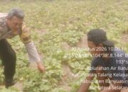 Dorong Swasembada Pangan, Bhabinkamtibmas Polsek Talang Kelapa Ajak Warga Kembangkan P2B