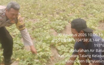 Dorong Swasembada Pangan, Bhabinkamtibmas Polsek Talang Kelapa Ajak Warga Kembangkan P2B
