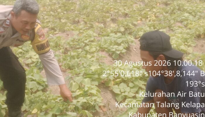 Dorong Swasembada Pangan, Bhabinkamtibmas Polsek Talang Kelapa Ajak Warga Kembangkan P2B