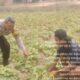 Dorong Swasembada Pangan, Bhabinkamtibmas Polsek Talang Kelapa Ajak Warga Kembangkan P2B