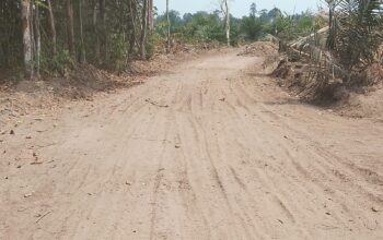 Proyek Jalan Simpang Kereto–Mangku Negara Rp1,45 Miliar Disorot, Material Batu Diduga Bercampur Tanah