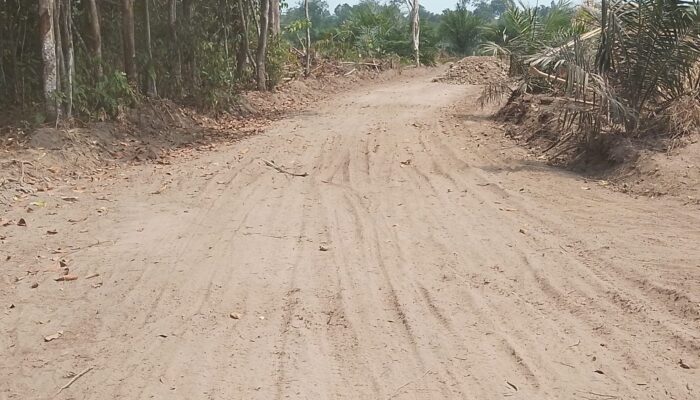Proyek Jalan Simpang Kereto–Mangku Negara Rp1,45 Miliar Disorot, Material Batu Diduga Bercampur Tanah