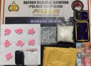 Satresnarkoba Polres Banyuasin Gagalkan Peredaran 101 Gram Sabu dan 70 Butir Ekstasi