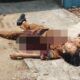 Pegawai Inspektorat OKI Tewas Ditikam di Kantin PMD, Terduga Pelaku Diamankan