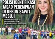 Penemuan Mayat Wanita di Kebun Sawit Gemparkan Warga di Mesuji Lampung
